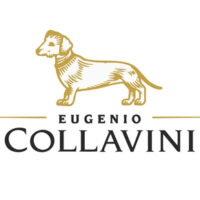 Collavini